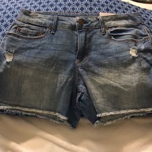 SUMMER TIME!!🌸🦋🌴🌞